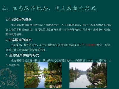 生态驳岸